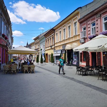 Filinhome Dunavska Studio 2 Nowy Sad Zewnętrze zdjęcie